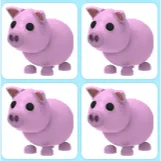 4x Pig