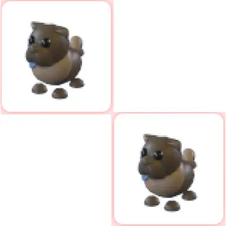 2x Chocolate Chow-Chow