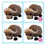 4x Musk Ox