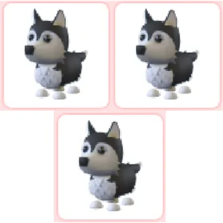 3x Husky