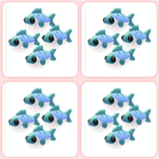 4x Many Mackerel
