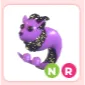 NR Capricorn