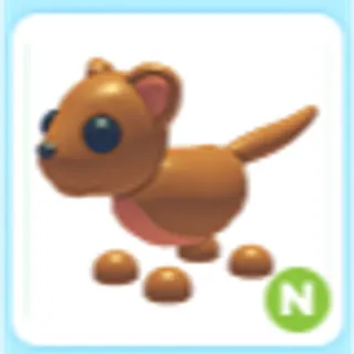 N Fossa