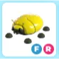 FR Giant Gold Scarab