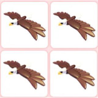 4x Bald Eagle