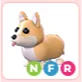 NFR Corgi