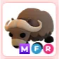 MFR Musk Ox