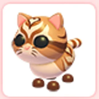 Catte