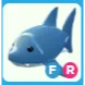 FR Shark