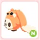 N Cabbit