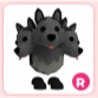 R Cerberus