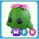 MFR Cactus Friend