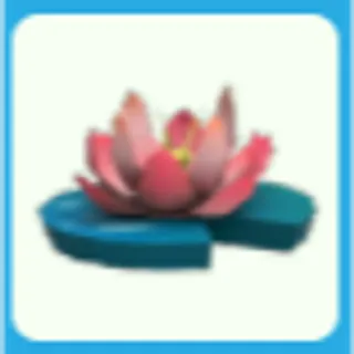 Pink Lotus