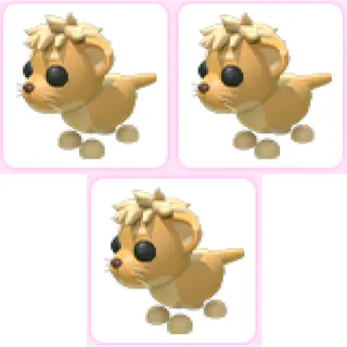 3x Lion Cub