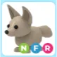 NFR Fennec Fox