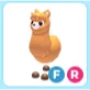 FR Alpaca