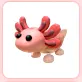 Axolotl