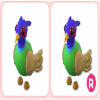 2x Green-Chested Pheasant