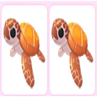 2x Sea Turtle