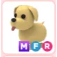 MFR Dog