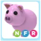 Pet | NFR Pig