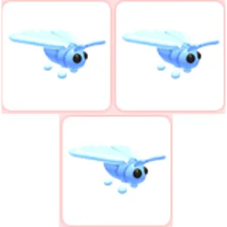 3x Glacier Moth