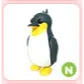N King Penguin
