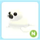 N Harp Seal