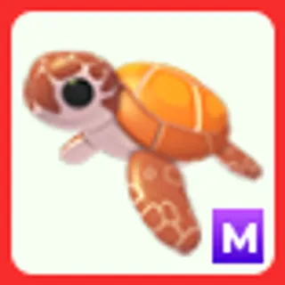 M Sea Turtle
