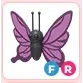 FR Purple Butterfly