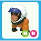 NR Astronaut Gorilla