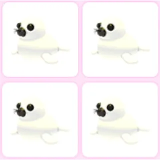 4x Harp Seal
