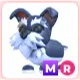 MR Mini Schnauzer