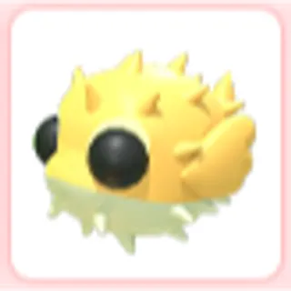 Puffer fish