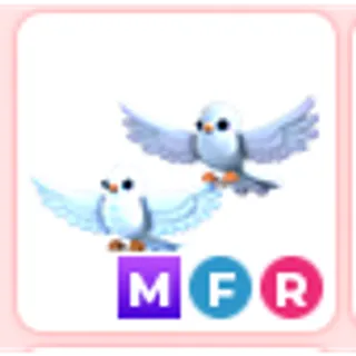 MFR Turtle Doves