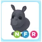 Pet | NFR Rhino