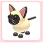Siamese Cat