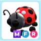 MFR Ladybug