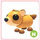 N Groundhog