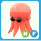 NF Octopus