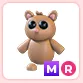 MR Tarsier