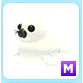 M Harp Seal
