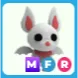 MFR Albino Bat