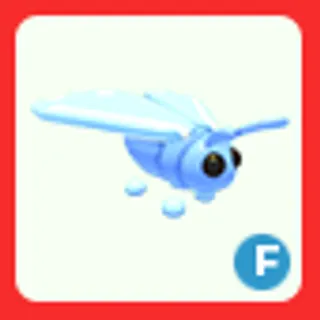 F Glacier Moth