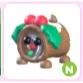 N Yule Log Dog