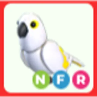 NFR White Amazon