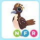 NFR Roadrunner