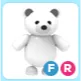 FR Polar Bear