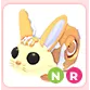 NR Bunny Swirl