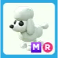 MR Poodle